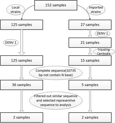 Molecular Characterization and Phylogenetic Analysis of the 2019 Dengue Outbreak in Wenzhou, China